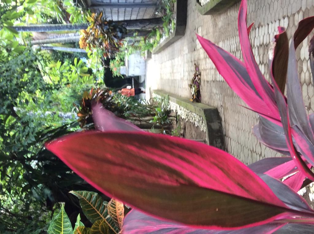 Bali Guest Villas Legian  Exterior photo